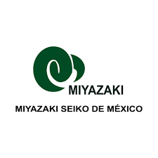 SYSCOM LEON - MSM Mexico